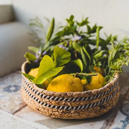 Alojamento de Acomodação e Pequeno-almoço Il Limoneto