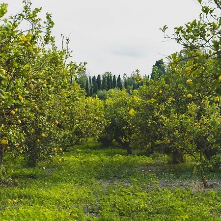 Il Limoneto Отель типа 