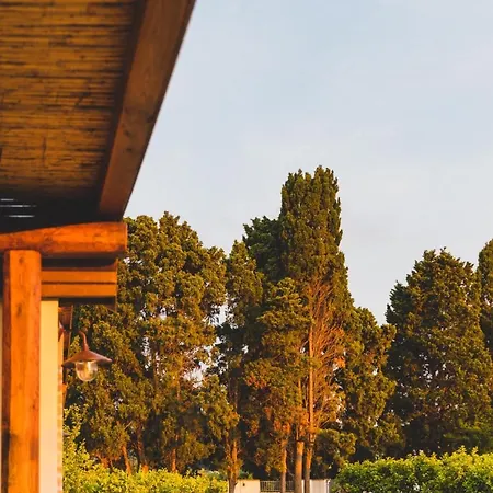 Il Limoneto Bed & Breakfast *