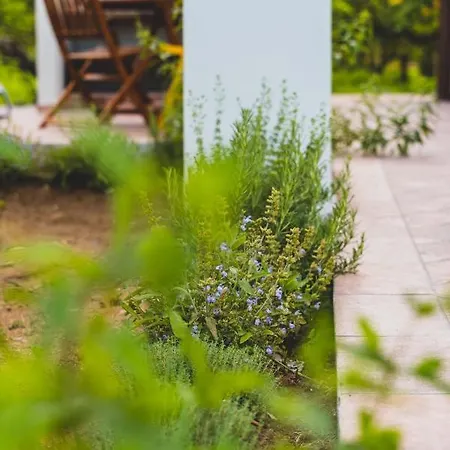 Il Limoneto Bed & Breakfast 4*