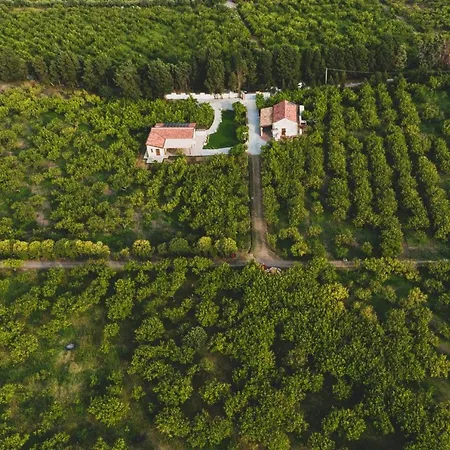 Bed & Breakfast Il Limoneto