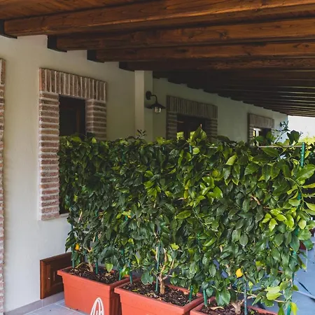 Il Limoneto Terme Vigliatore