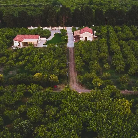 Il Limoneto Bed & Breakfast Terme Vigliatore