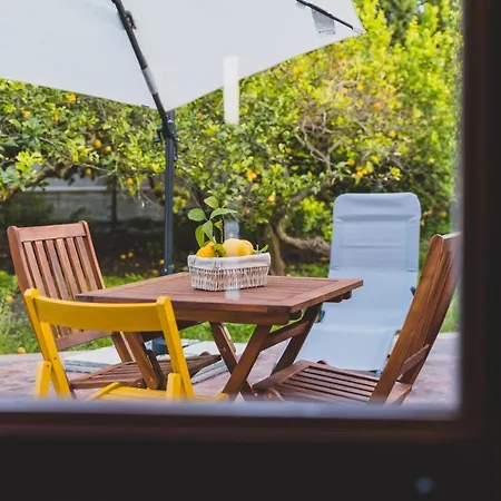 Bed & Breakfast Il Limoneto *