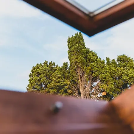 Bed & Breakfast Il Limoneto 4*