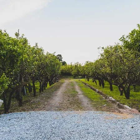 Bed & Breakfast Il Limoneto