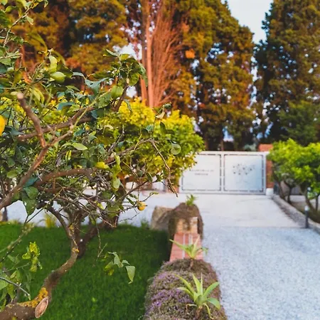 Bed & Breakfast Il Limoneto *