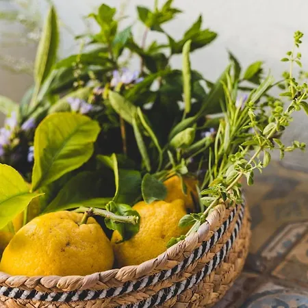 Bed & Breakfast Il Limoneto 4*